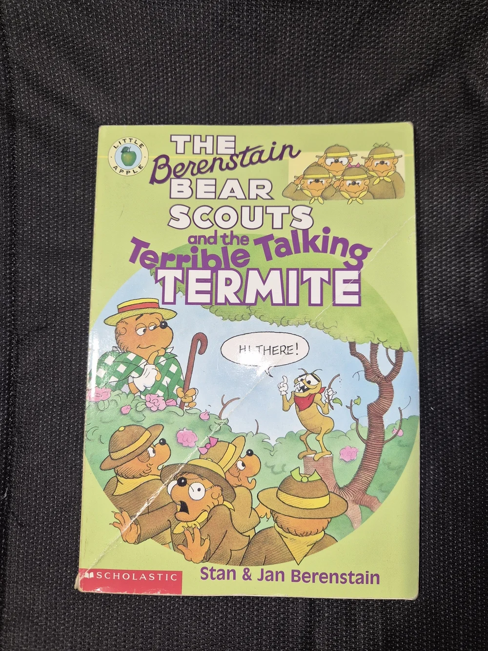 The Berenstain Bear Book